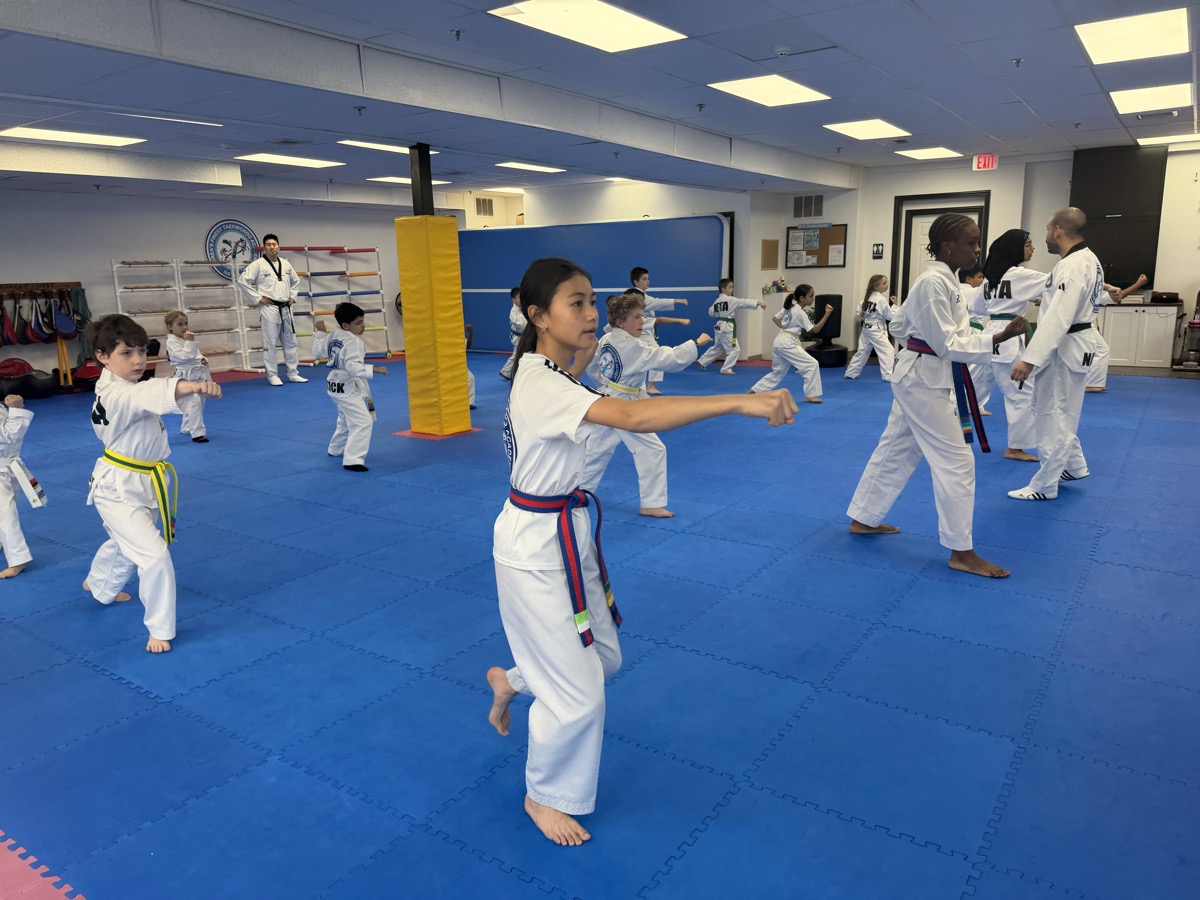 Family Taekwondo Class