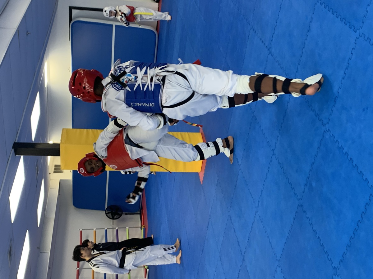Olympic Sparring